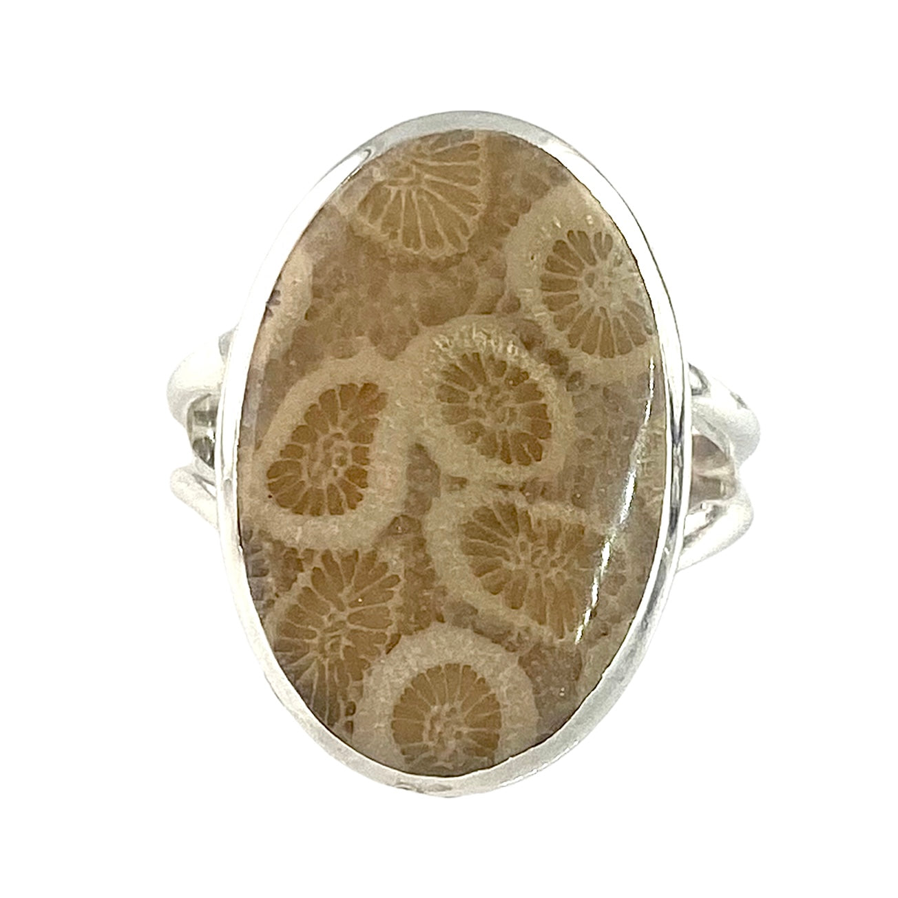 Fossilized Coral Sterling Silver Oval Ring - Keja Designs Jewelry