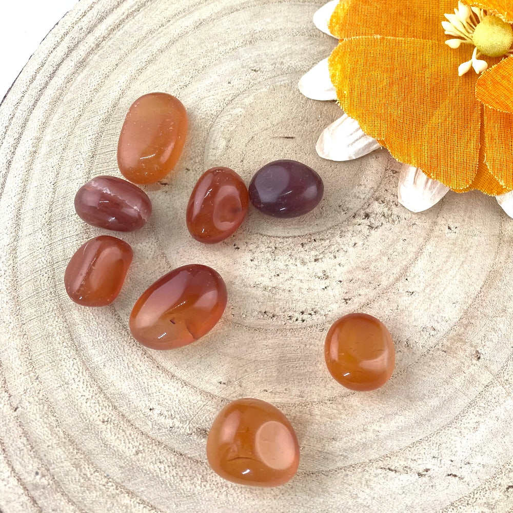 Carnelian Polished Chunk Stones, Choose Quantity, Polished Carnelian for Décor or Crystal Grids - Keja Designs Jewelry